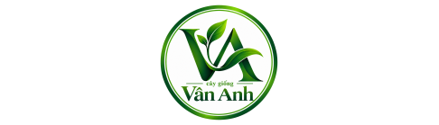 Cây Giống Vân Anh 